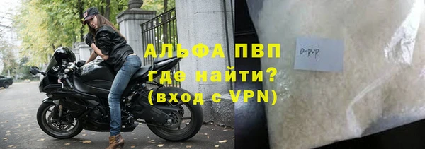 гидра Алексеевка