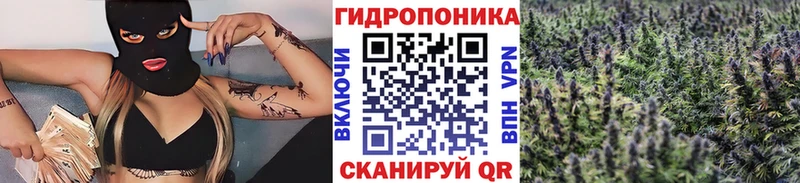 darknet формула  MEGA онион  Белый  Марихуана ГИДРОПОН 